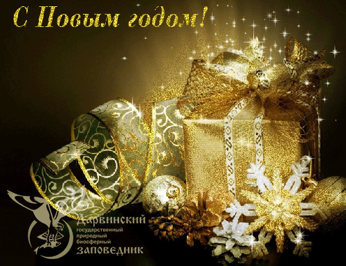 Дорогие друзья!