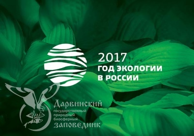 Утверждена официальная эмблема Года экологии в РФ