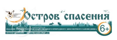 Вышел в свет четвертый выпуск газеты «Остров спасения» за 2020 год.