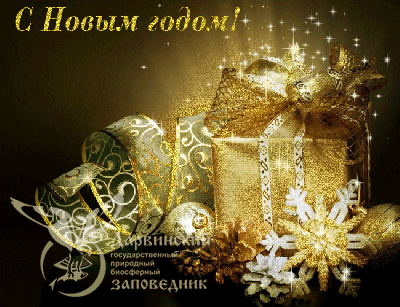 Дорогие друзья!
