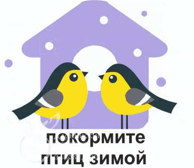 Ежегодно 12 ноября отмечается экологический праздник - Синичкин день!