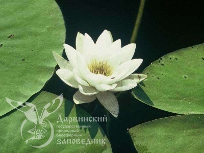 День водно-болотных угодий