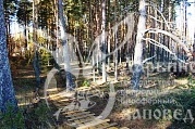 Вологодчина: сокровища Русского Севера