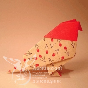 ВНИМАНИЕ! КОНКУРС!!