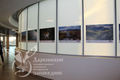 Выставка Заповедная природа России в Санкт-Петербурге