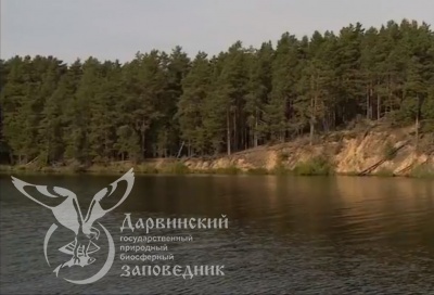 Четвертый выпуск передачи "Заметки натуралиста"