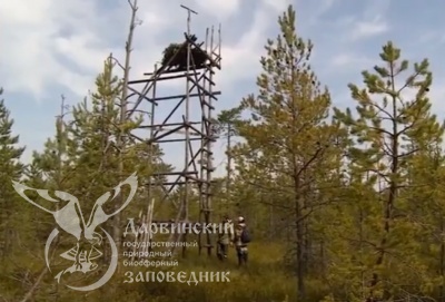 Третий выпуск передачи "Заметки натуралиста"