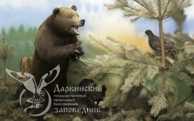 Юбилей